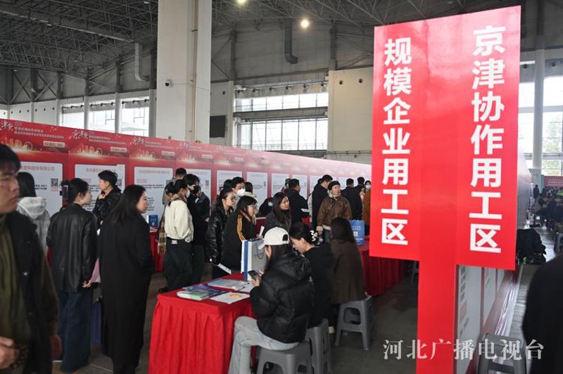 沧州人才网